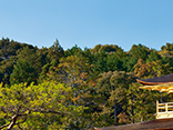 kyoto japan destination image